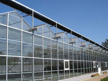 产品展示标题八