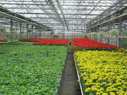 产品展示标题六